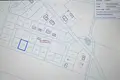 Atterrir 844 m² Zielniki, Pologne