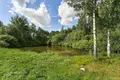 Дом 278 м² Фанипольский сельский Совет, Беларусь