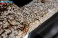 Mieszkanie 3 pokoi 51 m² Połąga, Litwa