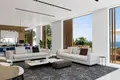 villa de 5 dormitorios 345 m² Ayia Napa, Chipre
