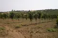 Działki 1 pokój 1 691 m² Municipality of Nea Propontida, Grecja