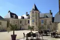 Schloss 920 m² Rigny Usse, Frankreich
