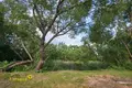 Casa de campo 270 m² Nieharelski sielski Saviet, Belarús
