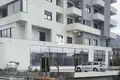 Propiedad comercial 180 m² en Bjelisi, Montenegro