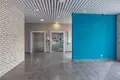 Квартира 311 м² Нижний Новгород, Россия