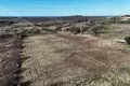 Atterrir 1 036 m² Buje, Croatie