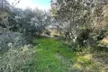 Земельные участки 1 комната  Калафатионес, Греция