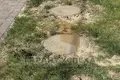 Дом 180 м² Тюхиничи, Беларусь