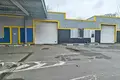 Propriété commerciale 136 m² à Minsk, Bélarus