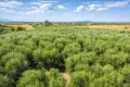 Działki 1 560 m² Neos Marmaras, Grecja