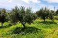 Grundstück  Provinz Rethymnon, Griechenland