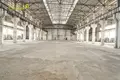 Manufacture 12 000 m² in Novalukoml, Belarus