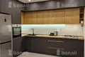 2 bedroom apartment 60 m² Yerevan, Armenia