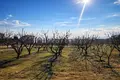 Parcelas 5 400 m² Nea Plagia, Grecia