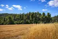 Atterrir 18 000 m² Kassandrino, Grèce