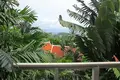 Willa 2 pokoi 234 m² Karon, Tajlandia
