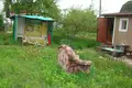 Дом 40 м² Озерицко-Слободской сельский Совет, Беларусь