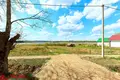 Grundstück  Biarezinski sielski Saviet, Belarus