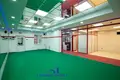 Commercial property 126 m² in Minsk, Belarus