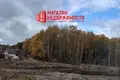 Дом 3 комнаты 30 м² Коптёвский сельский Совет, Беларусь