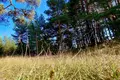 Grundstück  Zabljak, Montenegro