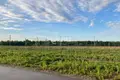 Земельные участки 800 м² городской округ Бор, Россия