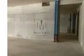 MODERN BUSINESS PREMISES