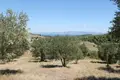 Atterrir 1 chambre  Paliouri, Grèce