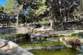 Penthouse 2 zimmer 66 m² Torrevieja, Spanien