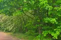 Atterrir  Smolice, Pologne
