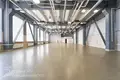 Gewerbefläche 10 zimmer 803 m² in Minsk, Belarus