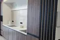 2 room apartment 77 m² Minsk, Belarus