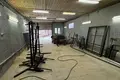 Manufacture 132 m² in Dubrovienski sielski Saviet, Belarus