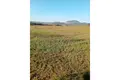 Działki 5 062 m² Opcina Sveti Filip i Jakov, Chorwacja