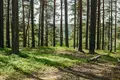 Hüttendorf Ucastki v Grecuhino