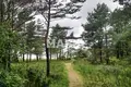 Земельные участки  Vergales pagasts, Латвия