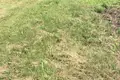 Земельные участки  Шашковский сельский Совет, Беларусь
