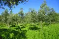 Cottage 4 bedrooms 150 m² Bayiatsa Avliotes, Greece