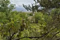 6 bedroom villa 6 000 m² Tosya, Turkey