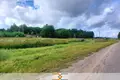 Zakład produkcyjny 300 m² Stare Sioło, Białoruś