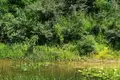 Земельные участки  Даниловград, Черногория