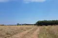 Działki 1 pokój  Kalyves Polygyrou, Grecja