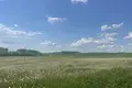 Land  Ozyaritska-Slabadski rural council, Belarus