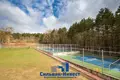 Commercial property 4 533 m² in Minsk, Belarus