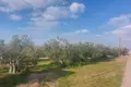 Atterrir 2 135 m² Municipality of Nea Propontida, Grèce