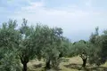 Land 1 room  Tsagkarada, Greece