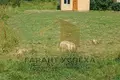 Land  Brest, Belarus