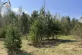 Grundstück  Pratasievicki sielski Saviet, Belarus