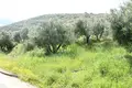 Land 1 room  Municipality of Sitia, Greece