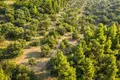 Land 9 427 m² Kassandrino, Greece